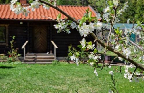 Upplands Vasby Municipality Casa | Charmig stuga mitt i naturen!