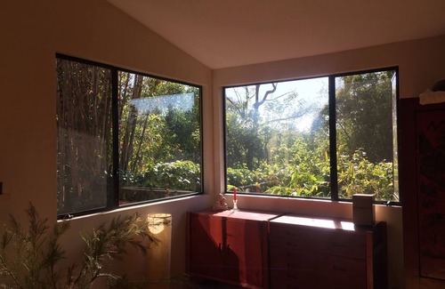 Downtown Los Angeles Casa | Charming 1-bedr in house with AC, WiFi surrounded by nature in heart of LA