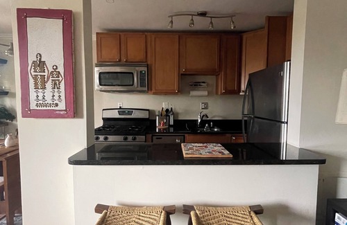 North Rosslyn Apartamento | Charming 1-bedroom apartment close to everything