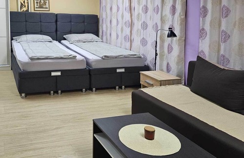 Zajecar Apartamento | Charming 1-bedroom apartment with AC, WiFi in fabulous Zaječar