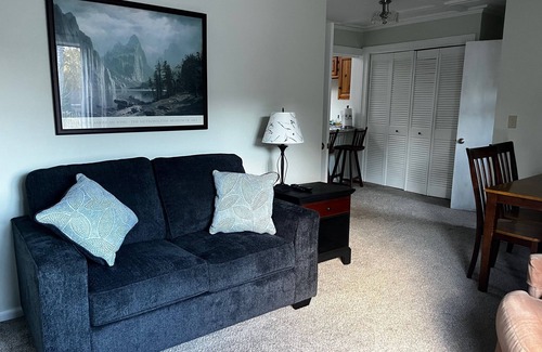 Lenox Dale Apartamento | Charming 1-bedroom apartment in wonderful Lenox Dale