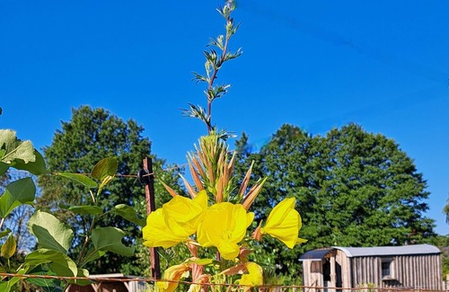 Karstadt Cabina | Charming 1-bedroom cabin in the fields near a small village.