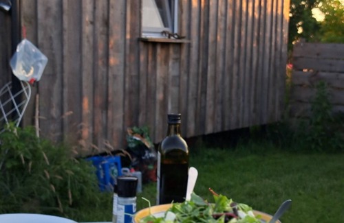Karstadt Cabina | Charming 1-bedroom cabin in the fields near a small village.