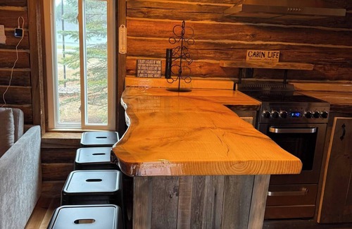 Harrison Cabina | Charming 1-bedroom cabin in lovely Harrison with AC, WiFi