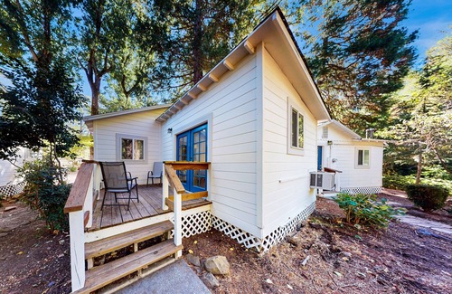 Cobb Condominio | Charming 1 bedroom Cabin with King bed, Queen Sofa Sleeper, WIFI, Kitchen, Deck
