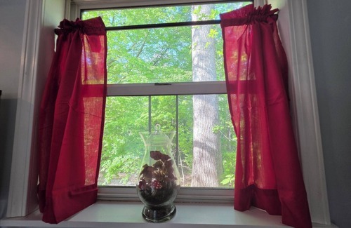 Baxter Cabaña | Charming 1-bedroom cottage - That tiny house on Center Hill Lake. Pet friendly!