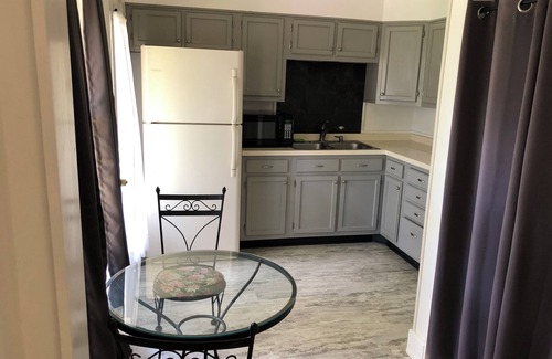 Nitro Apartamento | Charming 1 bedroom near Charleston hospitals
