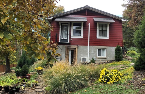 Nitro Apartamento | Charming 1 bedroom near Charleston hospitals