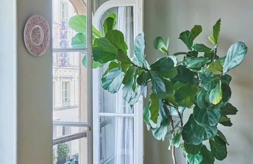 Pigalle Apartamento | Charming 1-bedroom next to rue des Martyrs