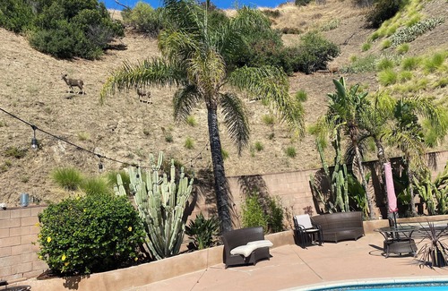 Sun Valley Casa | Charming 1-bedroom in lovely Glen Crest Hills with pool, culdesac