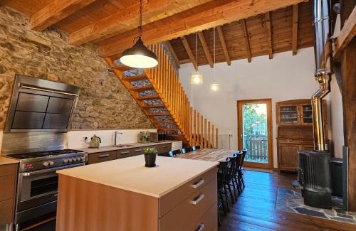 Bons-en-Chablais Casa | Charming 19th-century home and attached apartment