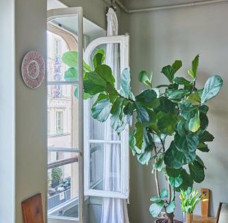 9th Arrondissement Apartamento | Charming 1BR rue des Martyrs
