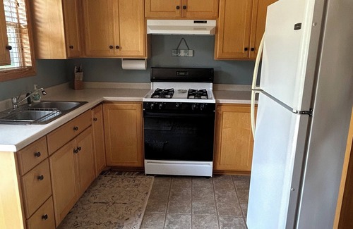 Elysian Cabina | Charming 2-bedroom cabin on beautiful Lake Francis in Elysian, MN
