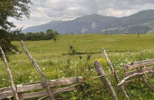 Ganisi Cabaña | Charming 2-bedroom cottage in beautiful near Gudauri with WiFi