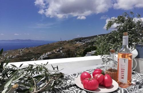 Tinos Apartamento | CHARMING 2BR Hilltop Serenity Suite, Lively Greek Village