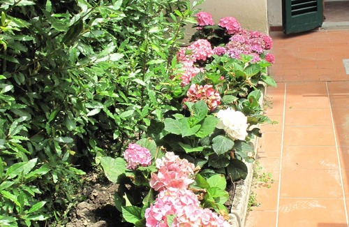 Santa Maria Novella Apartamento | Charming 3-bedroom Apartment Garden gazebo AC, WiFi in delightful Center Firenze