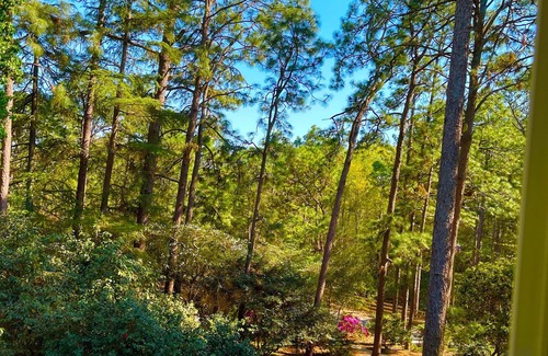 Aiken Casa | Charming 3-bedroom house in superb Aiken with AC, WiFi