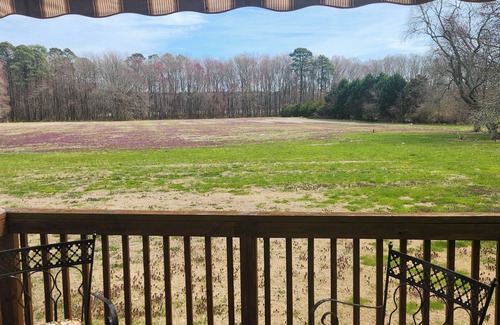 Berlin Casa | Charming 3-bedroom house in wonderful and fascinating Berlin, MD.