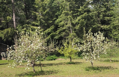 Elk Casa | Charming 3-bedroom house with WiFi, AC in peaceful Elk