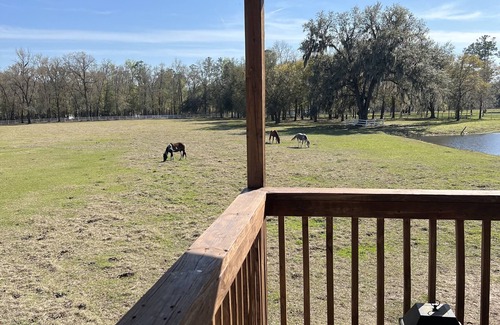 Charlton County Casa | Charming 3-bedroom barn lodge in Saint George.