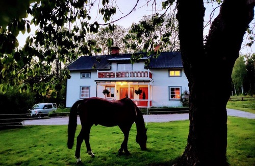 Horndal Casa | Charming 6 Bedroom House & Horse Farm - Sleeps 12