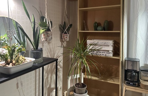 Skarholmen Apartamento | charming affordable simple suite
