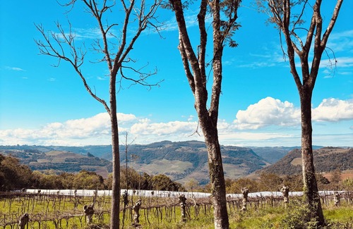 Monte Belo do Sul Cabaña | Charming and sustainable cottage in fabulous Monte Belo do Sul, RS.