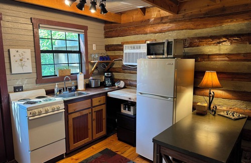 Eureka Springs Cabina | Charming and Cozy Cabin on a Mountainside Outside Eureka Springs