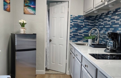 Lake Maggiore Shore Casa | Charming and cozy 1-BR/1-BA private guest unit in beautiful St. Petersburg