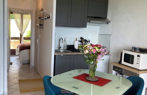 Evian-les-Bains Apartamento | Charming apartment with exceptional view