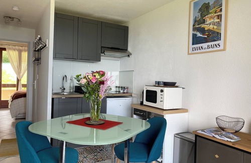Evian-les-Bains Apartamento | Charming apartment with exceptional view
