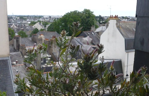 Vannes Apartamento | encantador edificio de apartamentos del siglo XIX en el centro histórico de la ciudad.