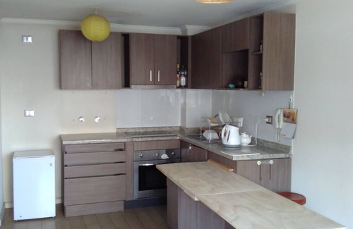 Downtown Santiago Apartamento | Charming apartment near Santa Isabel Metro Station in wonderful Santiago Chile