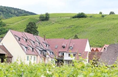 Riquewihr Apartamento | Charming apartment with vineyard view