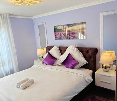 Saint-Louis Apartamento | Charming apartment with Garden, Free Parking near Basel, Airport, Ger'many, France,