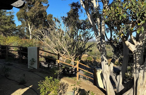 Covenant Casa | Charming brand new 2-bedroom vineyard house with AC, in peaceful Rancho Santa Fe
