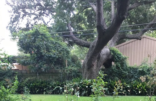Broadmoor Casa | Charming broadmoor Home 1200 ft.² Three bedroom One bath Non-smoking