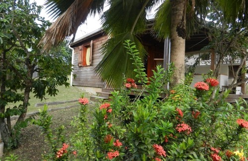 Sainte-Anne Casa | Charming bungalow, 200m from the beach, quiet, surrounded by greenery