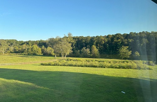 Hamptonville Cabina | Charming cabin-2 bedrooms, overlooking ponds in wine country, next to Amish