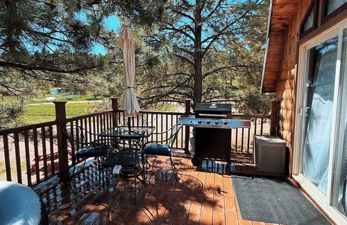 Hermosa Cabina | Charming Cabin with AC, heating, hot tub, and WiF, Park Pass in Hermosa