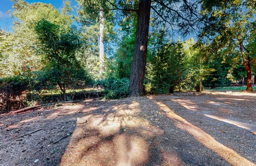 Lake County Apartamento | Charming cabin with King Bed, WIFI situated along the natural spring.