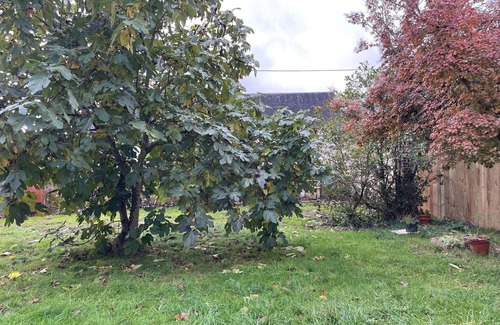Chahaignes Cabaña | A 10 min de Chartre-sur-le-Loir, gîte 1 ch avec jardin privatif, proche 24h du Mans y Châteaux