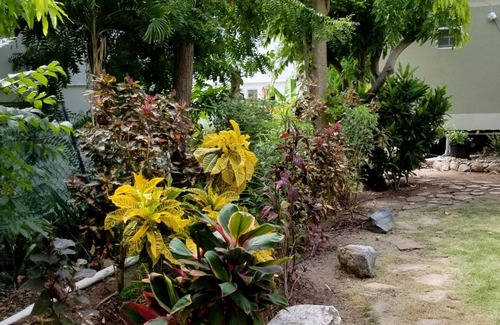 Waterfront Apartamento | Cottage con Encanto Cerca de Road Town