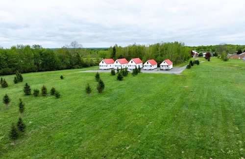 Pulaski Cabaña | Charming cottage Pulaski VIP Rentals 1.8 miles away from famous salmon river