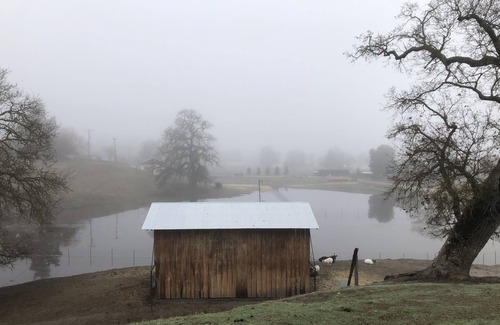 Atascadero Otro | CHARMING & COZY FARMHOUSE: On 3 acres, in the beautiful coastal wine country