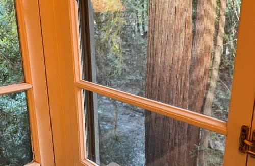 Boulder Creek Cabaña | Charming Creekside Cottage nestled in the redwoods in quaint Boulder Creek