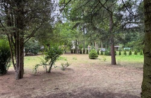 Radziejowice Chalet De Esquí | Charming Forest Home near Warsaw
