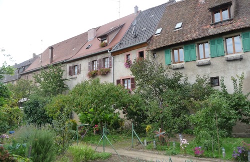 Saint-Hippolyte Apartamento | Amueblado con encanto, ruta del vino, a los pies de Haut-Koenigsbourg - Le Puits