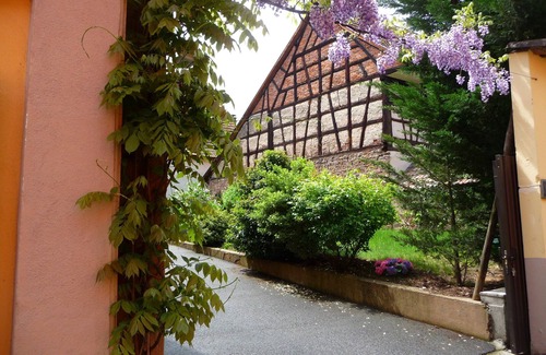 Saint-Hippolyte Apartamento | encantador amueblado, ruta del vino a los pies de AltoKoenigsbourg - Le cava