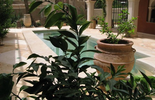 Ksar el Borj Casa | Encantadora casa de huéspedes con piscina para 4 personas